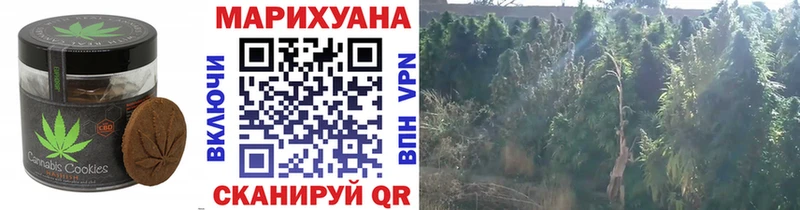 mega ONION  Дегтярск  Еда ТГК марихуана 