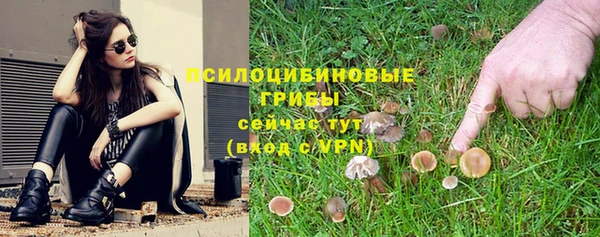 PSILOCYBIN Туринск