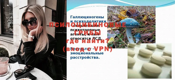 стафф Володарск