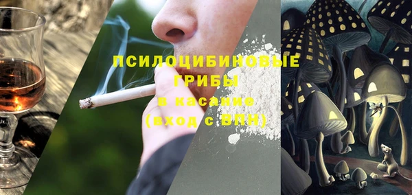 винт Бородино