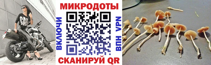 Галлюциногенные грибы MAGIC MUSHROOMS  мега ТОР  Дегтярск  сайты даркнета Telegram  как найти наркотики 